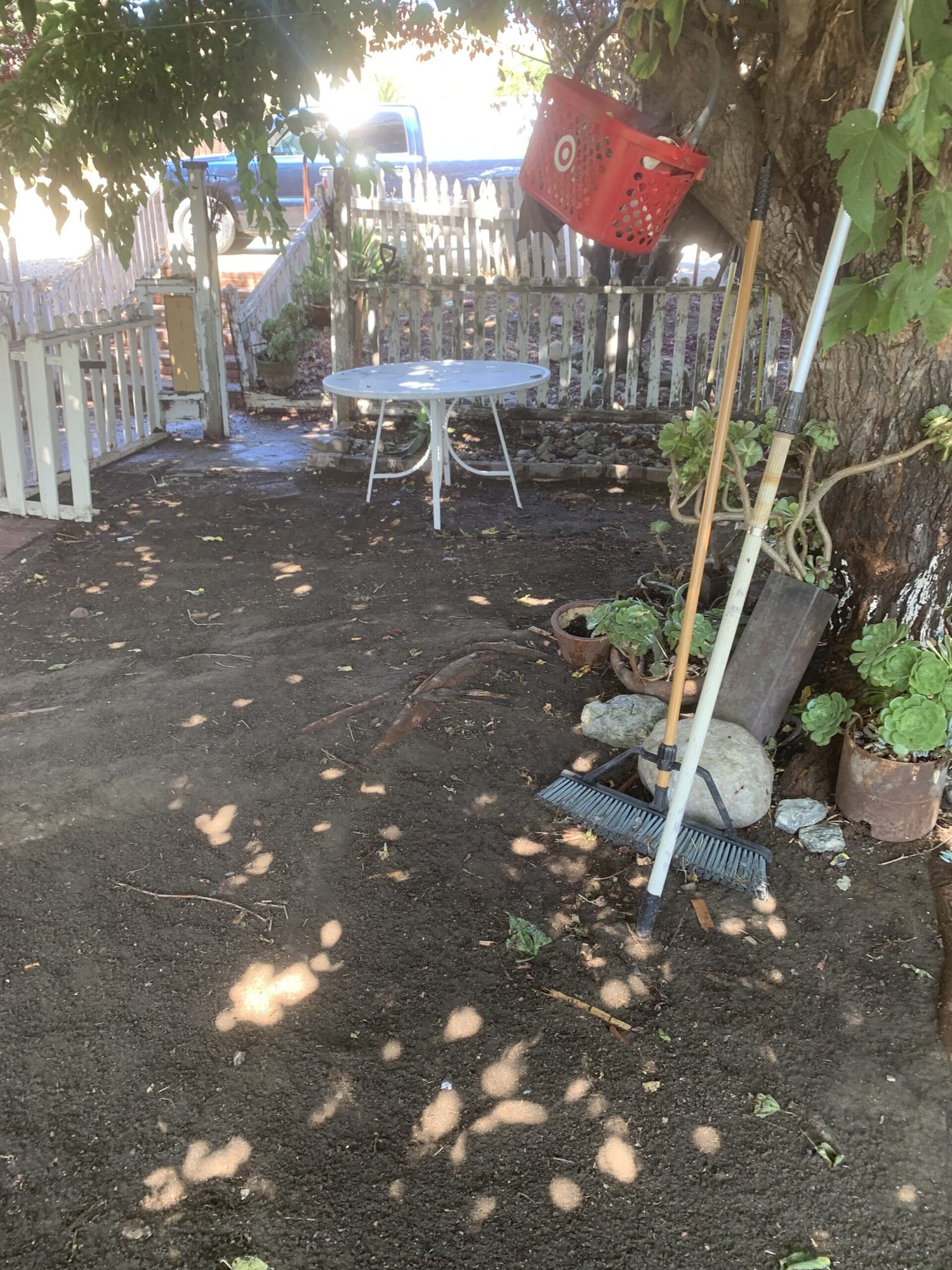 Property after full cleanout