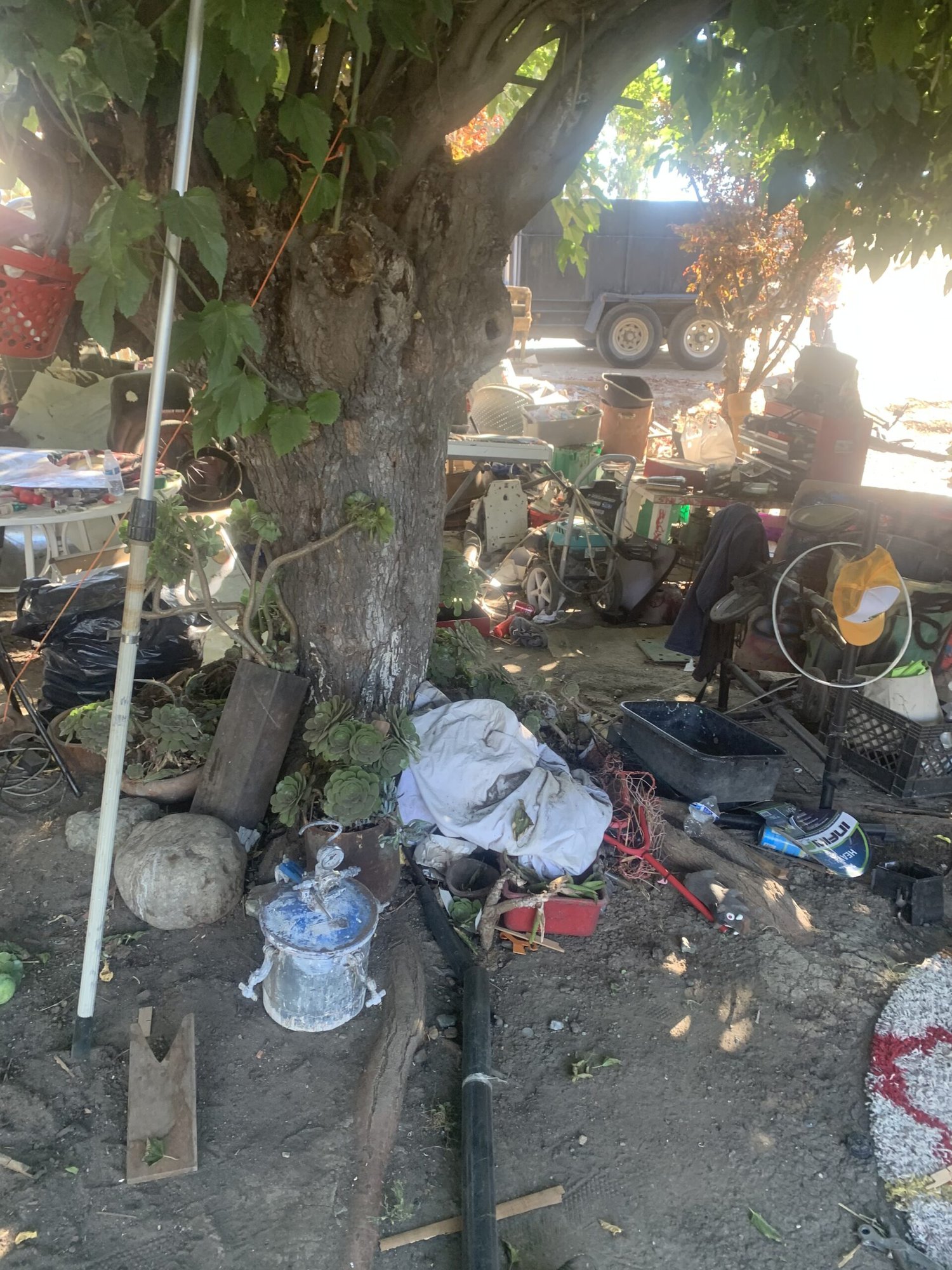 Property before full cleanout
