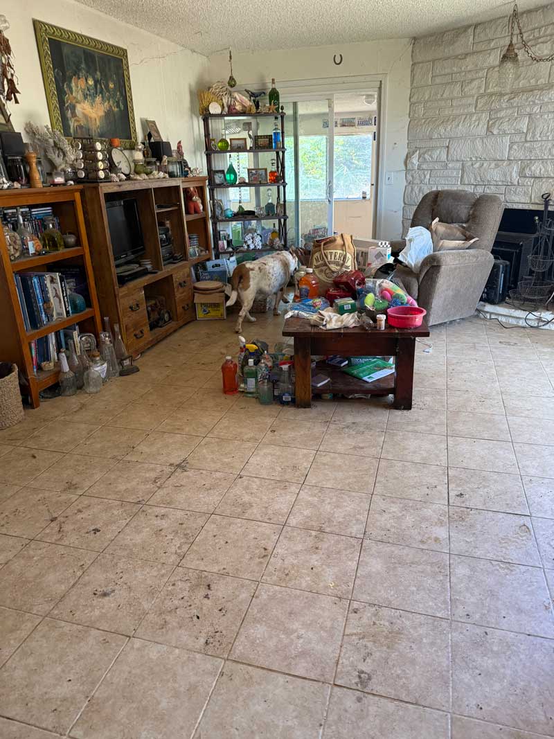 Hoarder house cleanout progression, photo 7 — fully cleared and clean